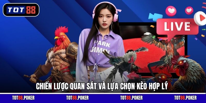 Chiến lược quan sát và lựa chọn kèo hợp lý