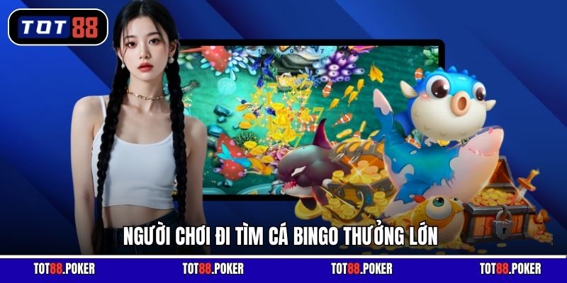 Người chơi đi tìm cá bingo thưởng lớn
