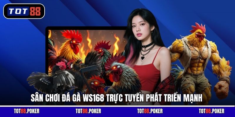 Sân chơi đá gà WS168 trực tuyến phát triển mạnh