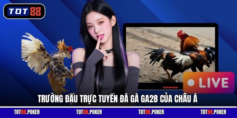 Trường đấu trực tuyến đá gà GA28 của châu Á